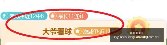 独家,奥斯梅恩转,会传闻,雪缘园即时比分网,体育赛事平台,足球比赛比分,篮球比赛数据,体育赛事资讯